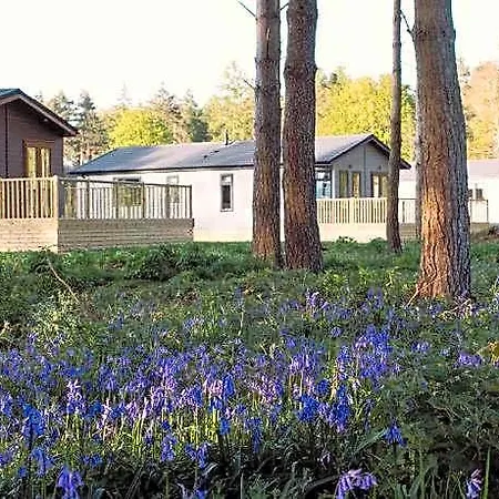 Hollicarrs - Stag Hotel Selby