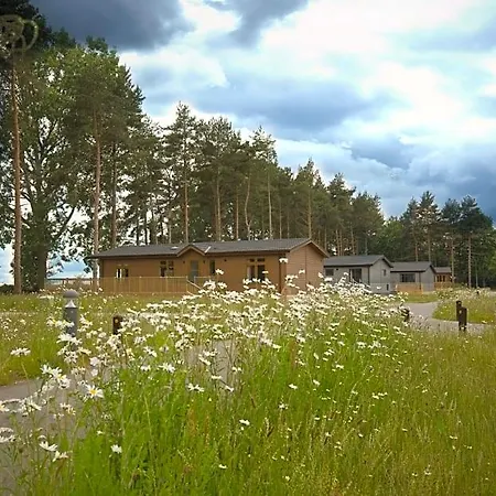 Hollicarrs - Stag 3*