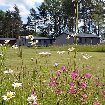 Hollicarrs - Stag Hotel
