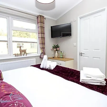 Hotel Hollicarrs - Stag