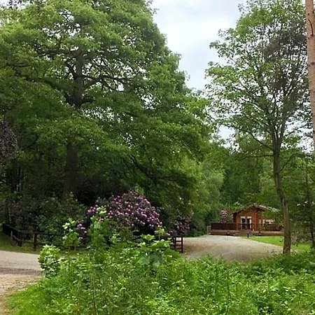 Hollicarrs - Stag 3*